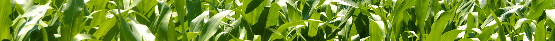 Answers to the Top 5 Questions on Irrigation Pressure Reduction