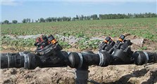 Xinjiang Cotton Field Project