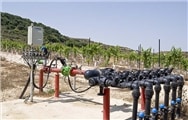 Dalton winery, Elkosh Vineyard