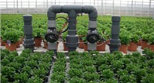 Flower Pots Greenhouse