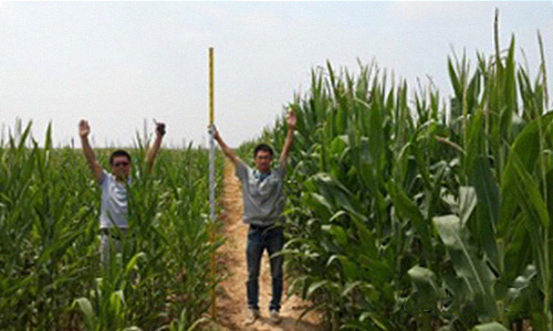 Harnessing Real-Time Data for Your Irrigation System Projects
