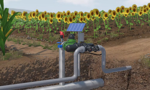 Protect Your Plot Irrigation System from Vacuum Conditions