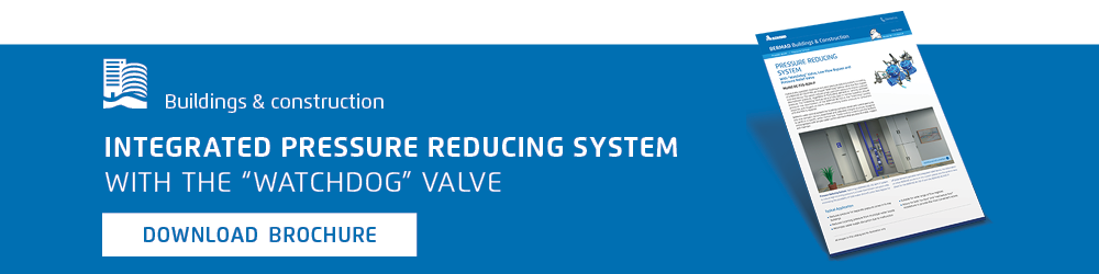 Integrated pressure reducing system with the watchdog valve