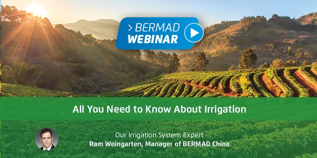 All You Need to Know About Irrigation