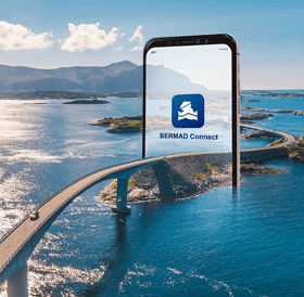 BERMAD Connect