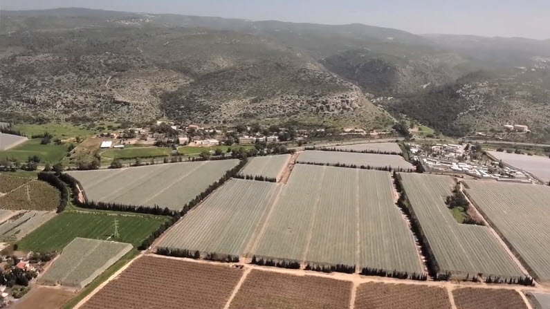 Automation of Drip Irrigation System, Banana Plantation, Israel