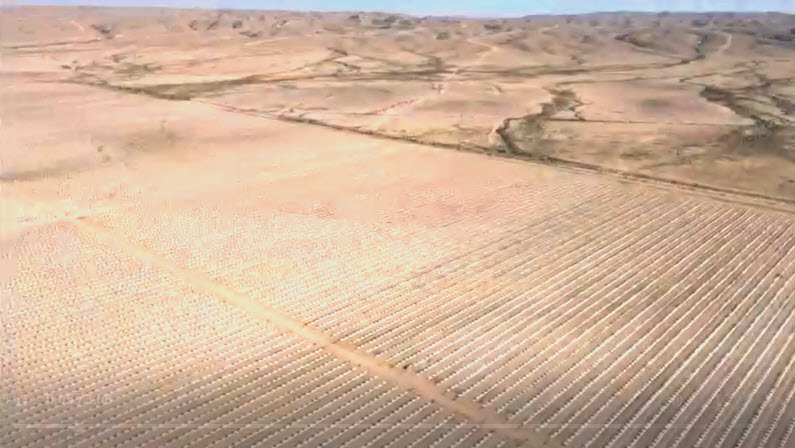Drip Irrigation for Jojoba Plantation, Israel