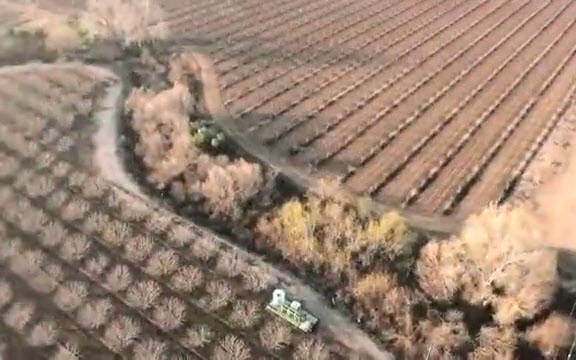 Irrigation Control Head for Avocado Plantation, Israel