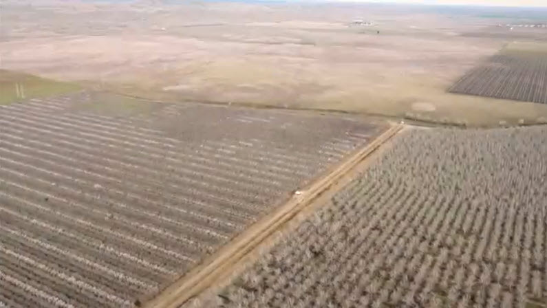 Automation, Monitoring & Control for Nut Farm, CA