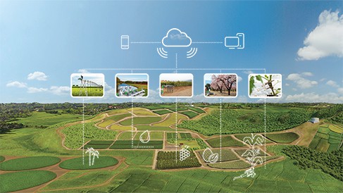 Integrated Management Solutions