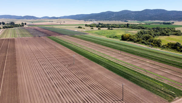 Farming at Full Scale