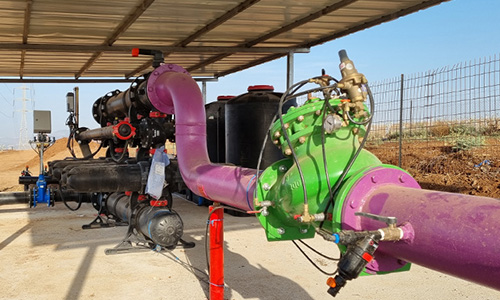 Estudio de caso: Plantación de aguacate y mango – Kibutz Beit Zera, Ramat Sirin, Israel