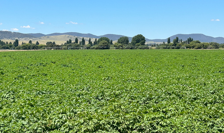 Grech Farms Irrigation Upgrade: Automation & Cloud-Based Remote Management